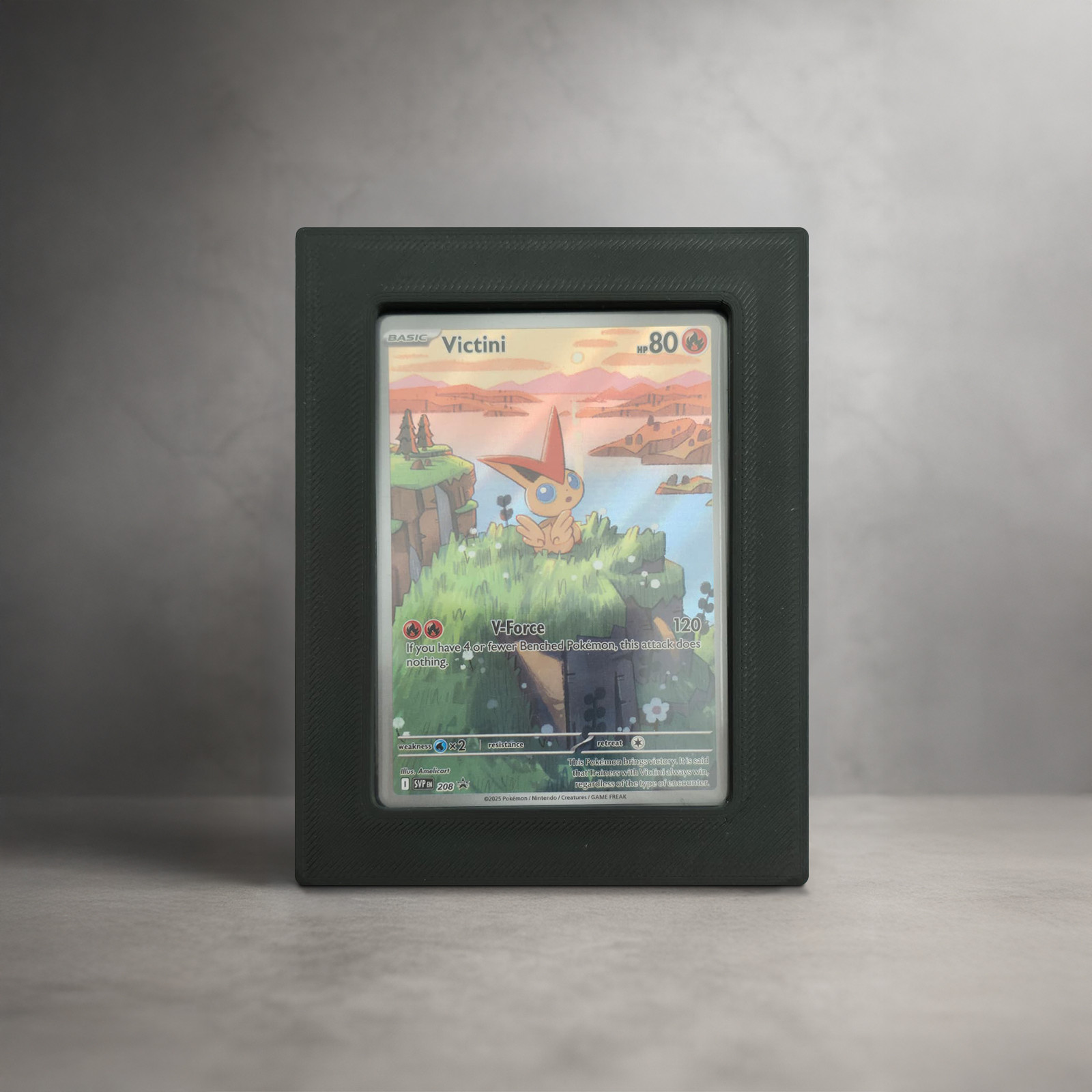 Wandhalterung für Pokémon-Karten – TopLoader Clean / Standard TCG – Collector Gear bei TG Vault