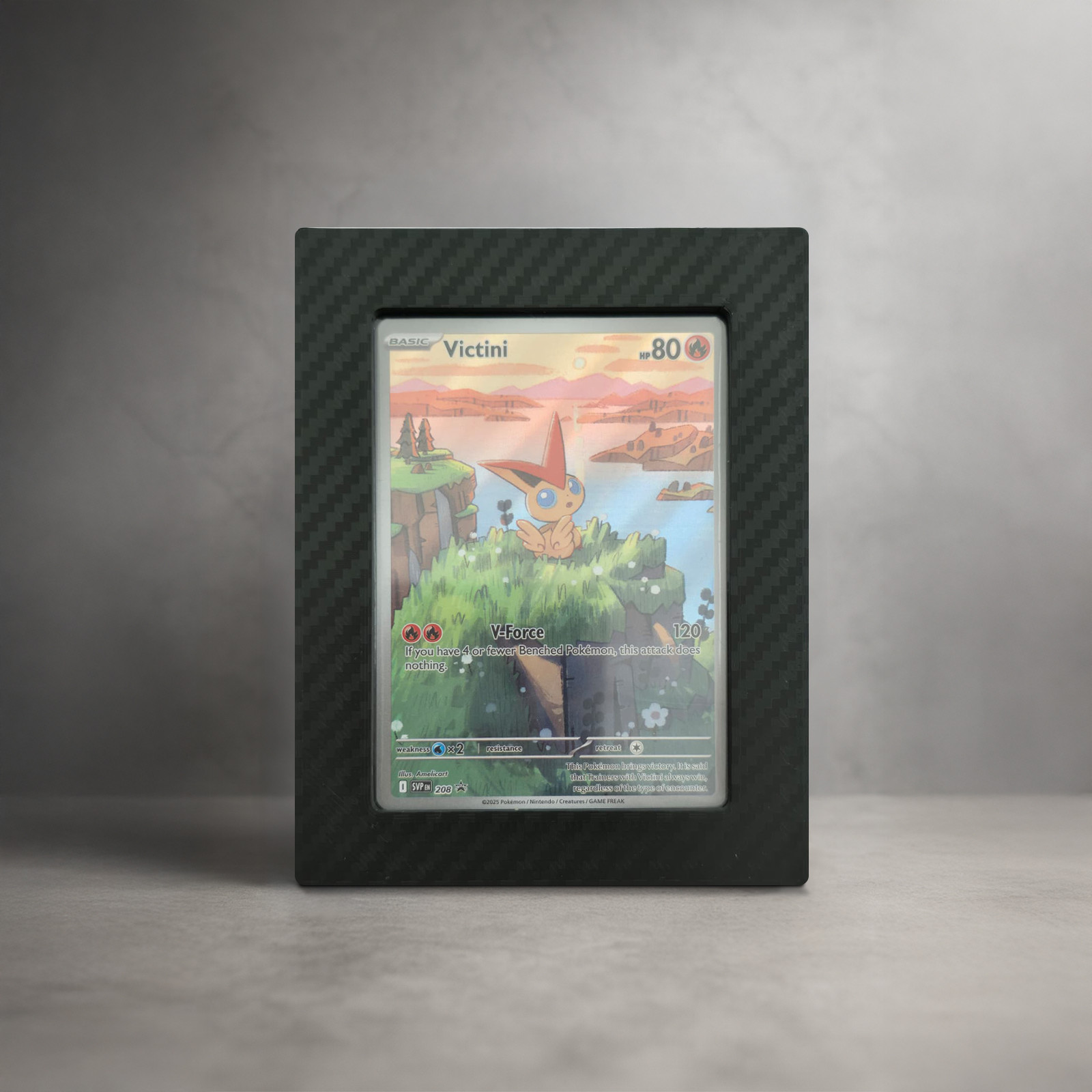 Wandhalterung für Pokémon-Karten – TopLoader Carbon TCG – Collector Gear bei TG Vault